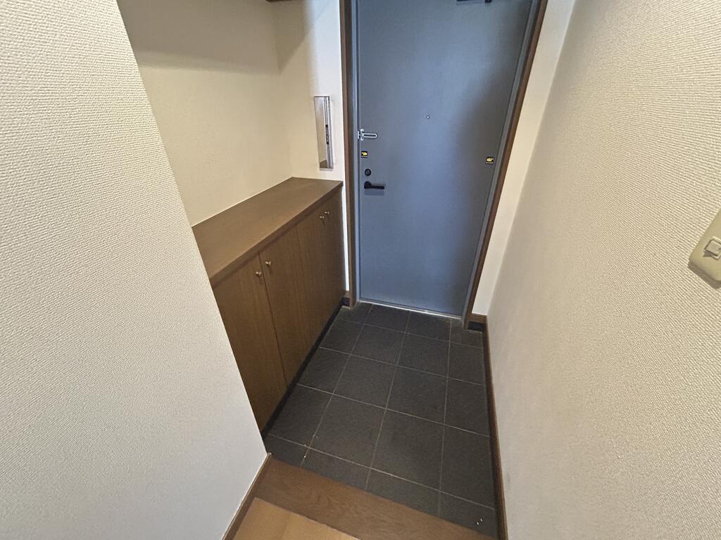 ホワイトキャッスル諏訪の玄関写真