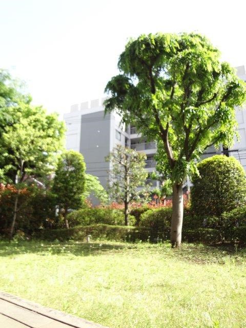 カーサヴェルデ3の内装写真