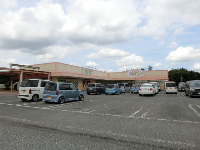 小学校　ザ・ダイソーイオン八街店（小学校）まで491m