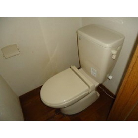イーストヒルズINAのトイレ写真