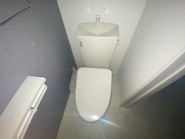 カメリア郷東Aのトイレ写真