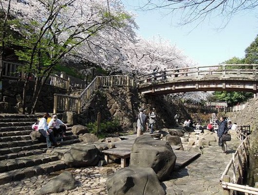 公園　音無親水公園（公園）まで1026m