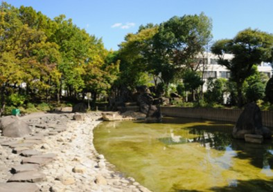 公園　神谷堀緑地（公園）まで1126m
