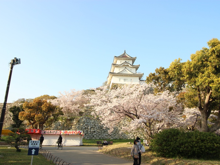 公園　明石公園（公園）まで1000m
