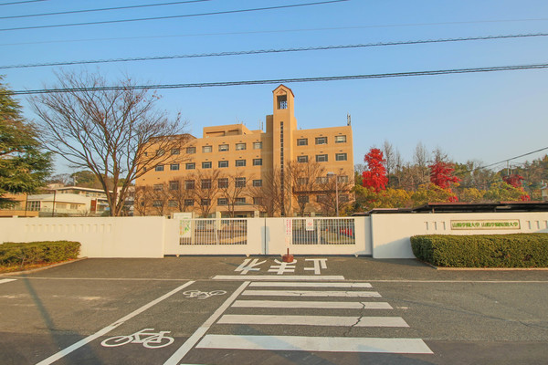 【岡山市中区桜橋のアパートの図書館】