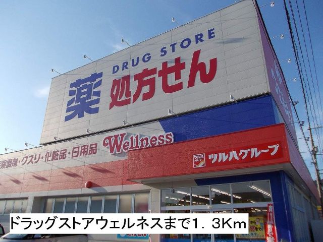 ドラックストア　ドラッグストアウェルネス（ドラッグストア）まで1300m