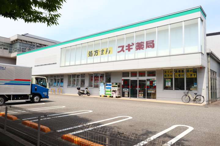 ドラックストア　スギ薬局元車店（ドラッグストア）まで878m