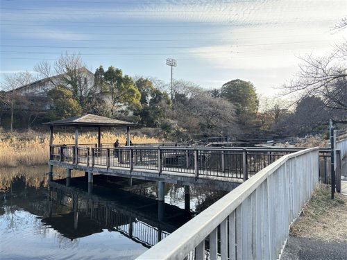 公園　岸根公園（公園）まで745m