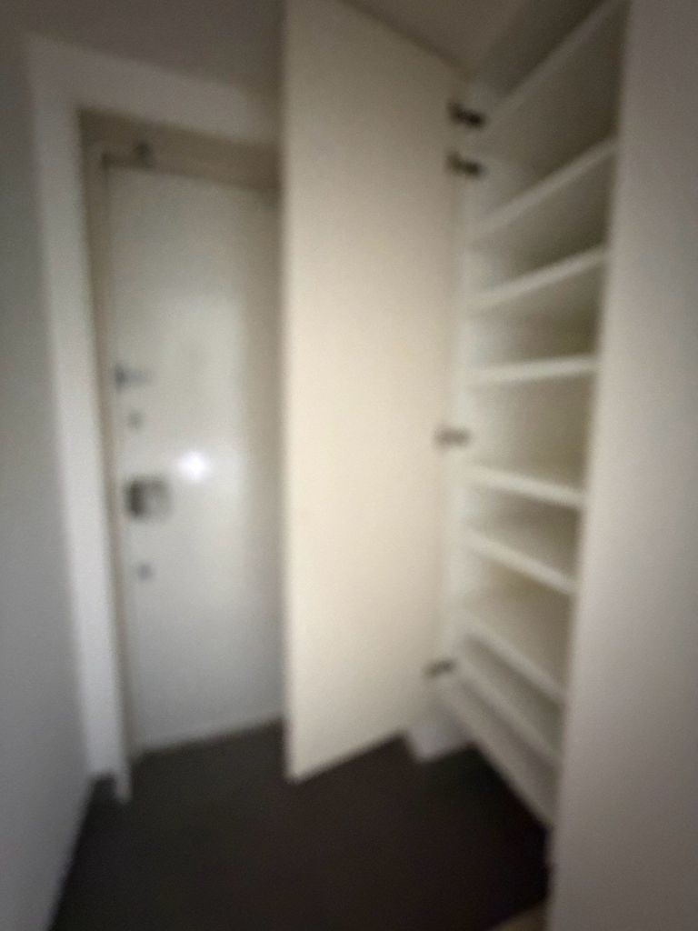収納　玄関