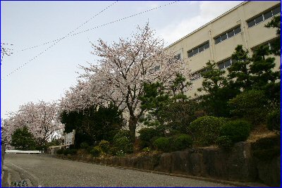 ＪＲ東海道本線 戸塚駅 バス乗車時間：10分 最寄りバス停で下車 徒歩2分 6階建 築45年の周辺写真