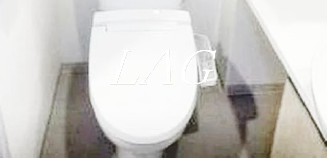 トイレ　トイレです。