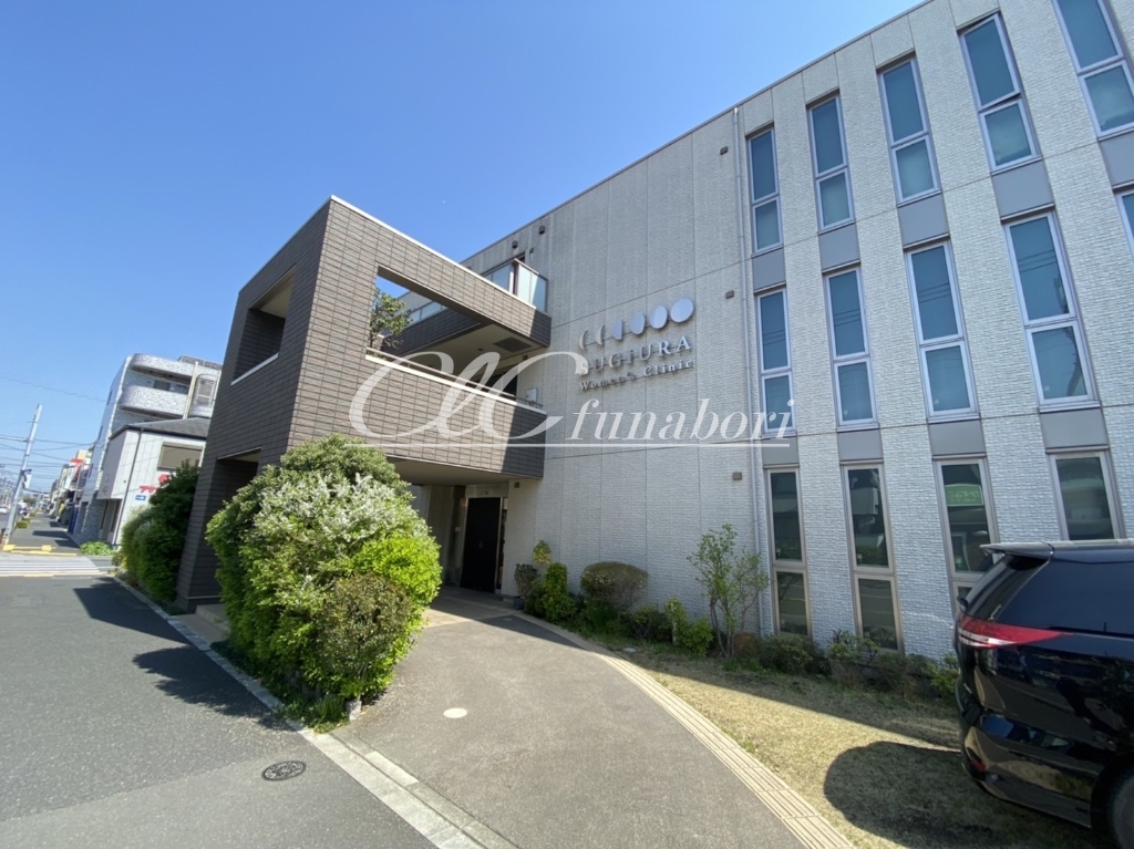 病院　杉浦ウィメンズクリニック（病院）まで183m