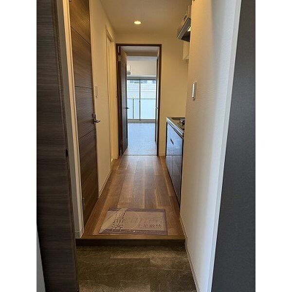 玄関　写真は同一物件の他号室です。