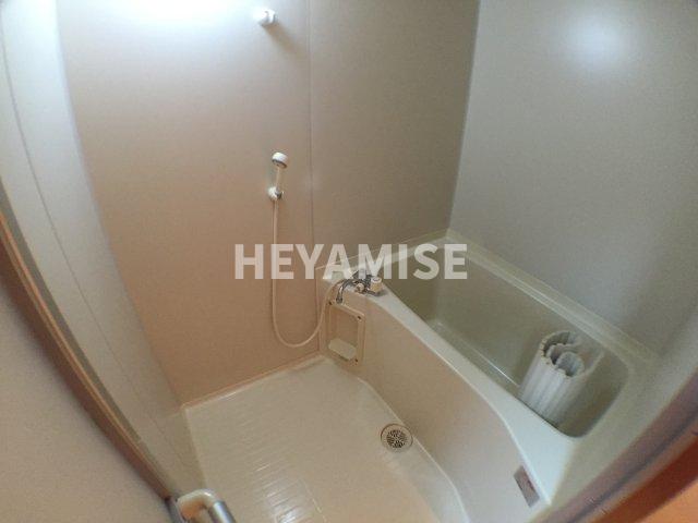 バス・シャワールーム　※同物件同室タイプの写真でございます※現況を優先します※