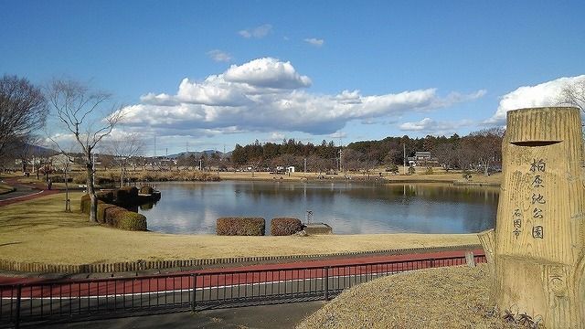 公園　柏原池公園（公園）まで400m
