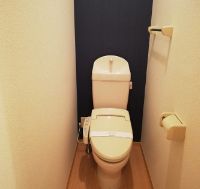 トイレ　※イメージ別号室写真