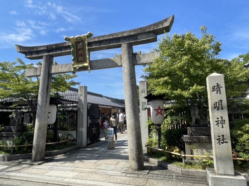 シルキーの周辺写真