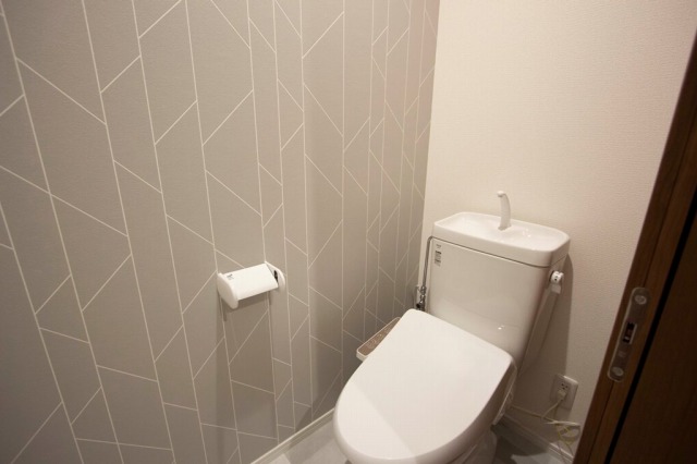 アテーナ大麻A Bのトイレ写真
