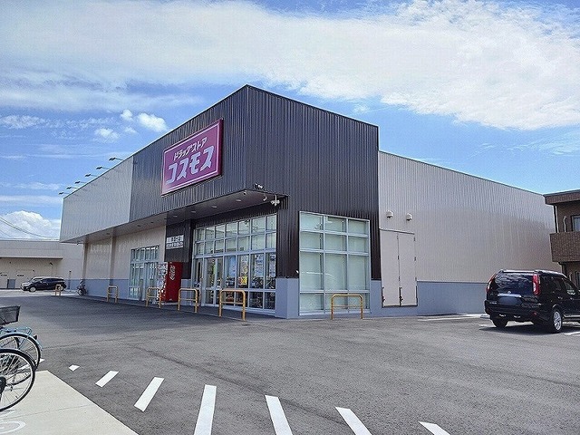 その他　ドラッグストアコスモス東国分店まで600m