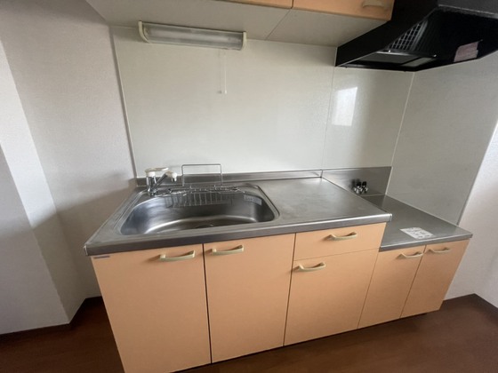 キッチン　※別号室の写真です