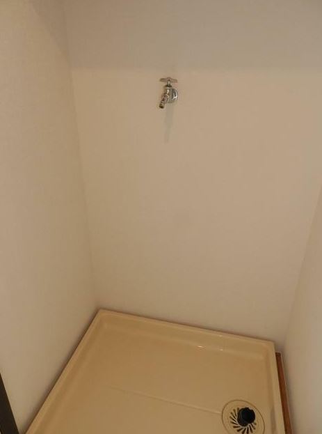 グリーングロゥサのその他写真
