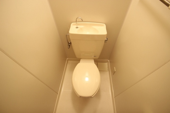 トイレ　※別号室の写真です