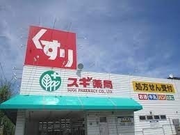 ドラックストア　スギ薬局極楽店（ドラッグストア）まで352m