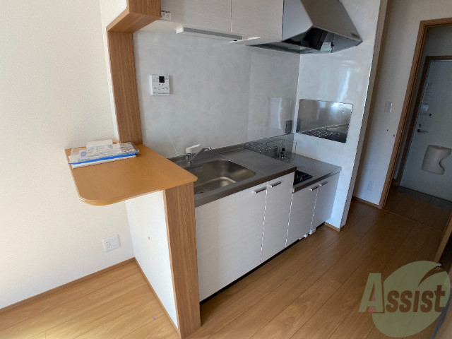 キッチン　キッチンはシックなデザインでした。洗い場も大きい。