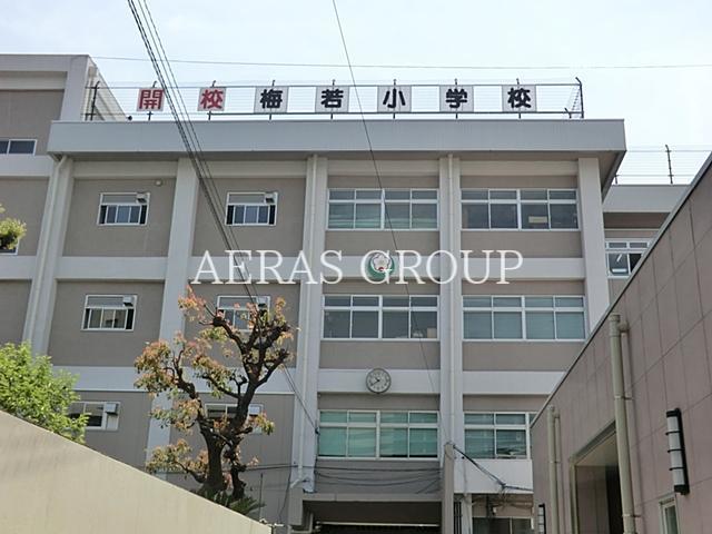 小学校　墨田区立梅若小学校（小学校）まで634m