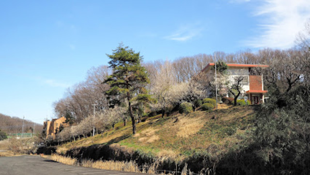 幼稚園・保育園　光塩日野幼稚園（幼稚園・保育園）まで279m