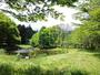 公園　森と水の公園（公園）まで800m
