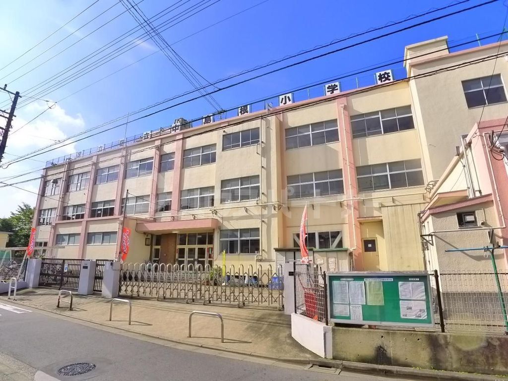 小学校　足立区立中島根小学校（小学校）まで80m
