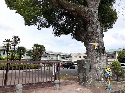 その他　知恵島小学校（その他）まで600m