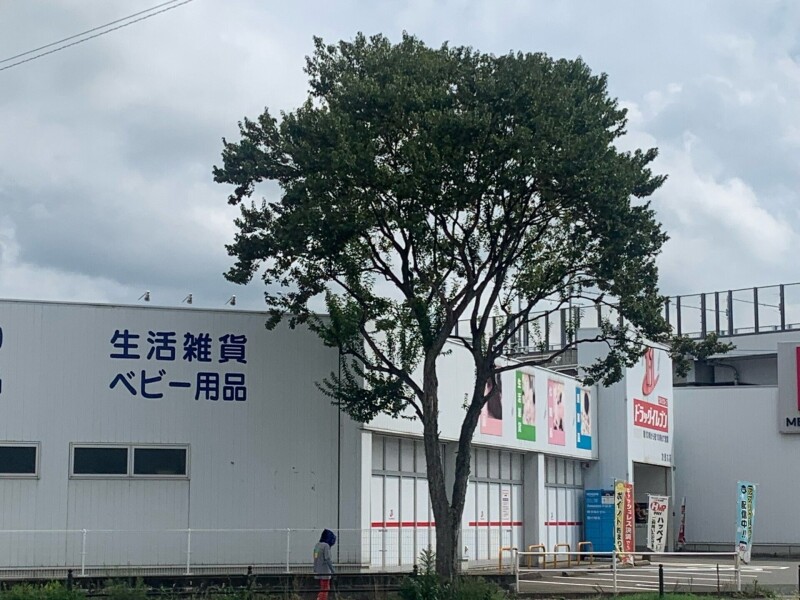 ドラックストア　ドラッグイレブン次郎丸店（ドラッグストア）まで1064m