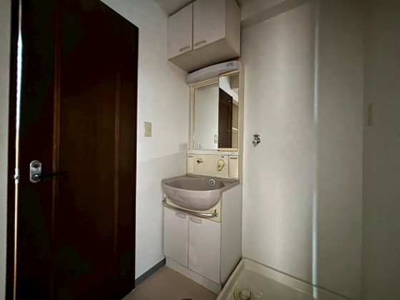 洗面設備　※別号室の写真です。