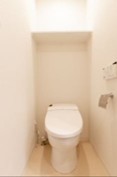 トイレ　※同仕様写真