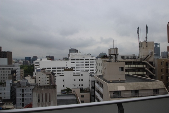 眺望　※別部屋の写真です