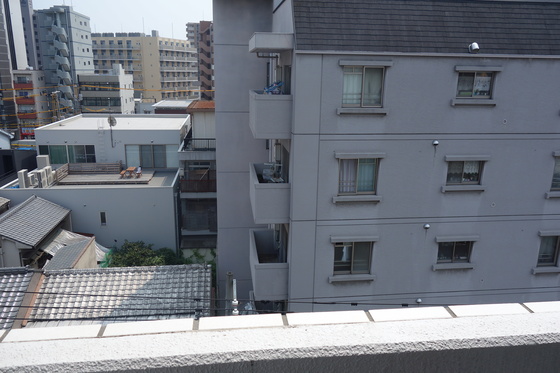 眺望　※別部屋の写真です