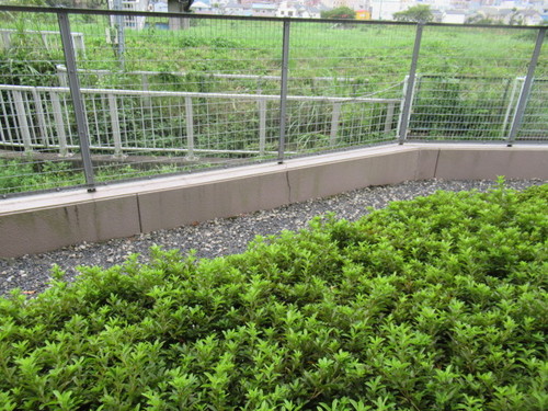 眺望　別号室参考写真