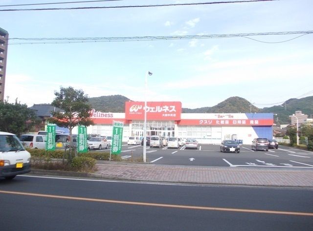 ドラックストア　ウェルネス大田中央店（ドラッグストア）まで300m