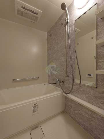 バス・シャワールーム　パークアクシス市谷左内町(同タイプ別部屋のお写真です)