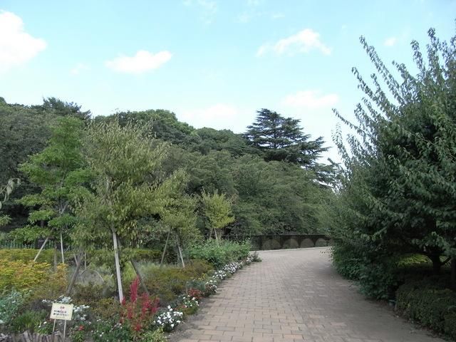 公園　哲学堂公園（公園）まで400m