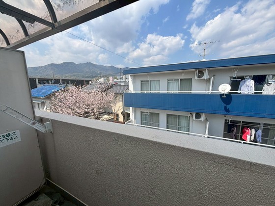 眺望　※別部屋の写真です