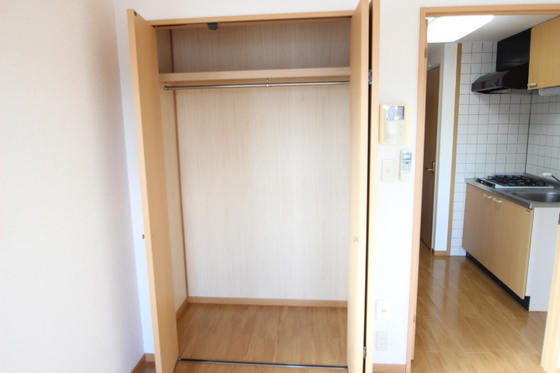 収納　※別部屋の写真です