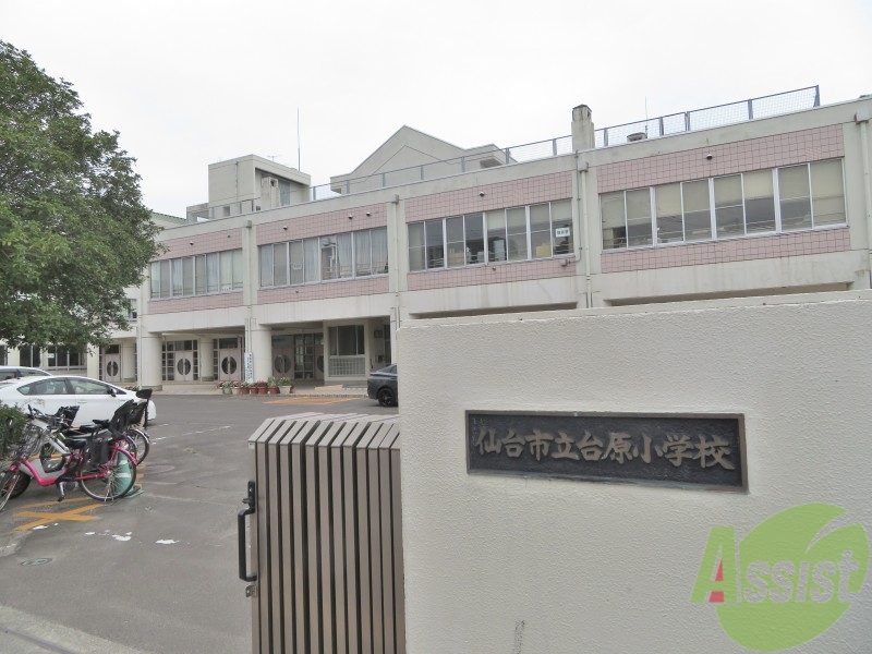 小学校　仙台市立台原小学校（小学校）まで600m