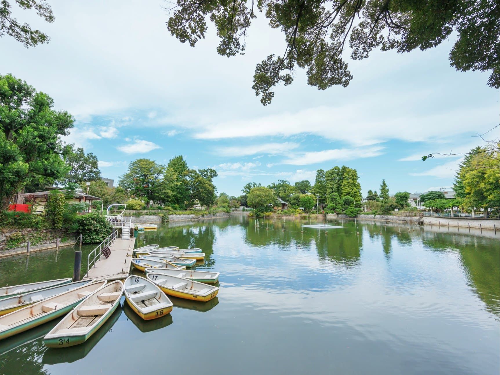公園　碑文谷公園（公園）まで824m