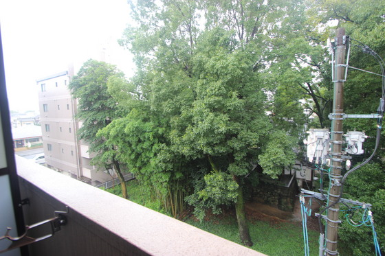 眺望　※別部屋の写真です