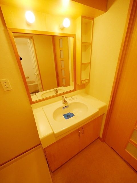 洗面設備　同物件別部屋写真