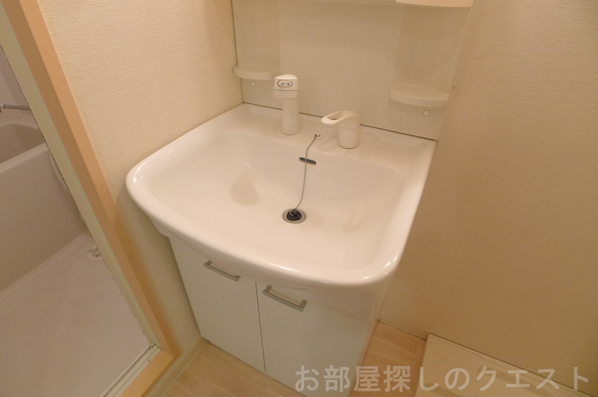 洗面設備　（写真は同タイプ）