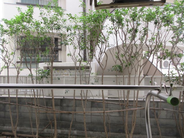 眺望　他のお部屋の参考写真です。